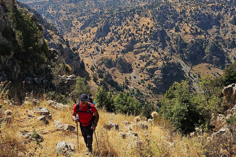 Al Elleh Forest