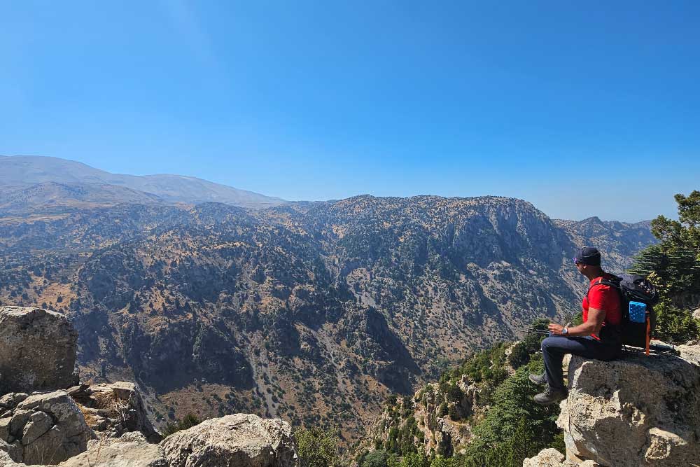 Al Elleh Forest